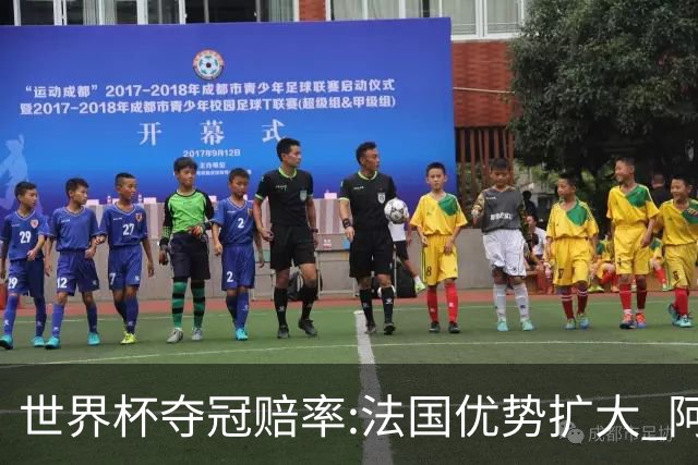 世界杯夺冠赔率:法国优势扩大 阿根廷西班牙紧追