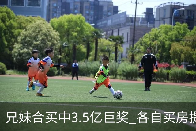 兄妹合买中3.5亿巨奖 各自买房提高生活质量