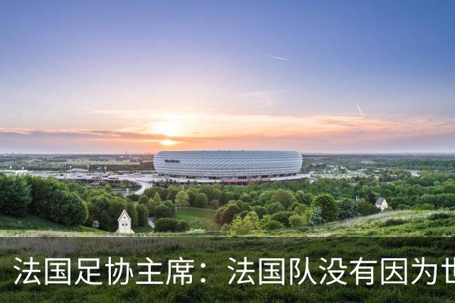 法国足协主席：法国队没有因为世界杯奖金问题而气氛紧张